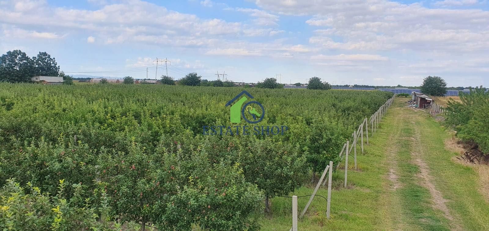 Продава ЗЕМЕДЕЛСКА ЗЕМЯ, с. Катуница, област Пловдив, снимка 2 - Земеделска земя - 54251324