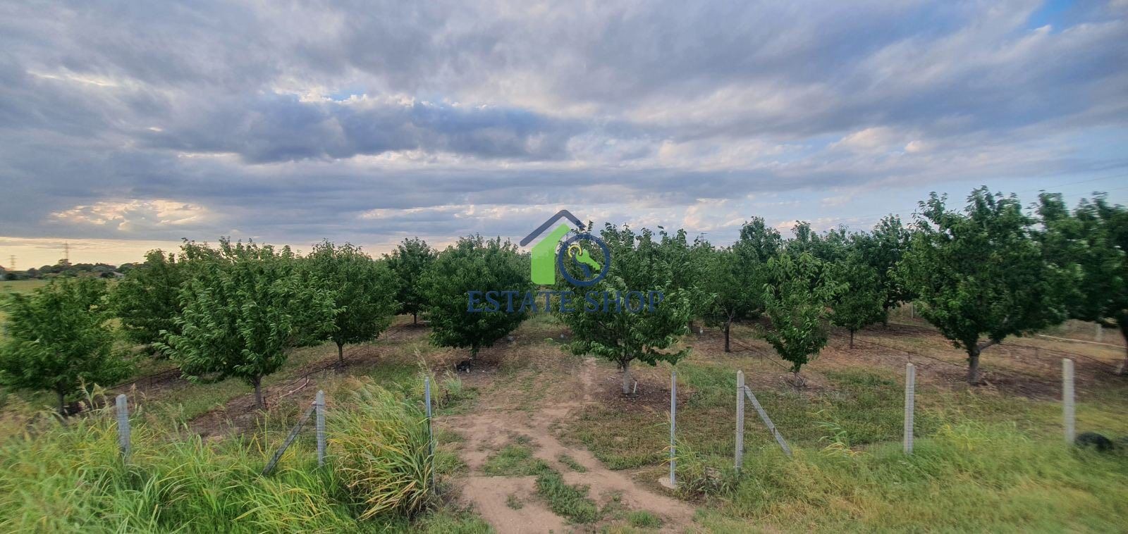 Продава ЗЕМЕДЕЛСКА ЗЕМЯ, с. Катуница, област Пловдив, снимка 2 - Земеделска земя - 54251324