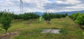 Продава ЗЕМЕДЕЛСКА ЗЕМЯ, с. Катуница, област Пловдив, снимка 9