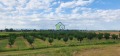 Продава ЗЕМЕДЕЛСКА ЗЕМЯ, с. Катуница, област Пловдив, снимка 1