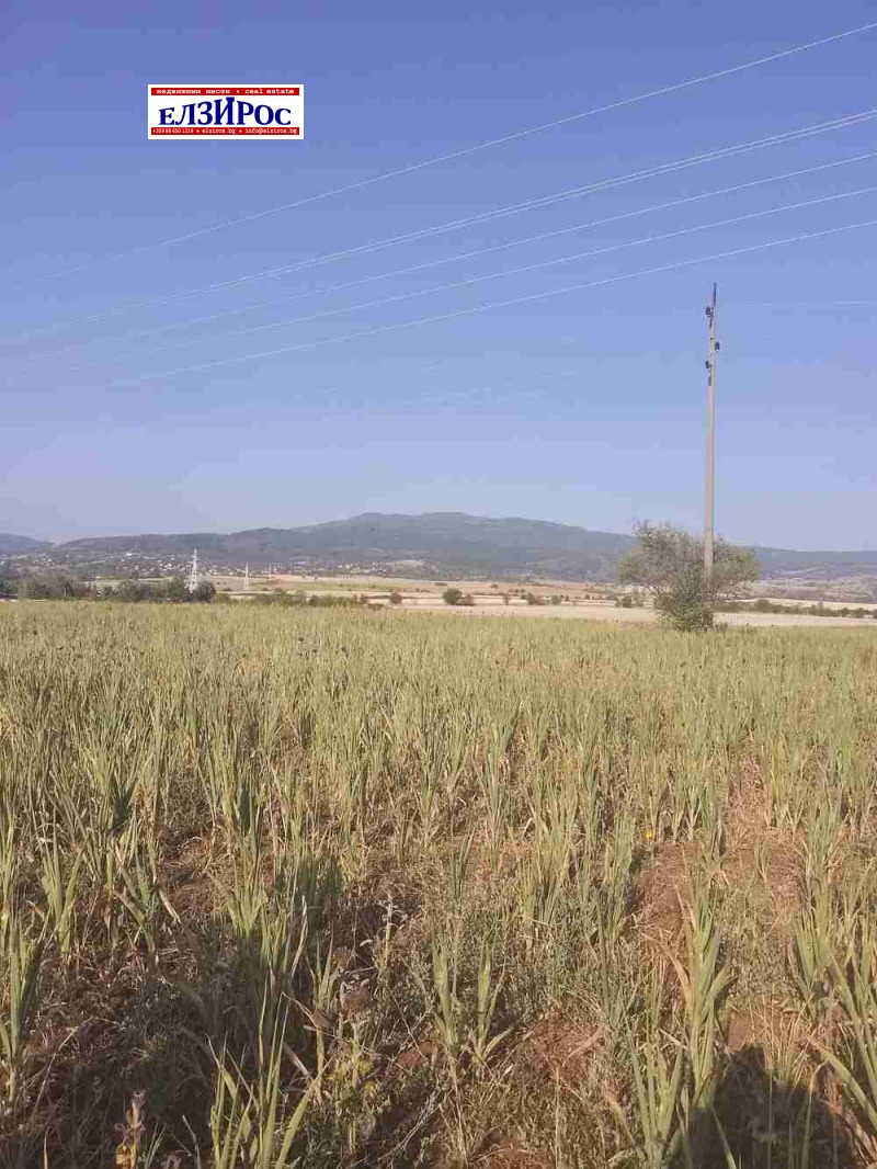 Продава ЗЕМЕДЕЛСКА ЗЕМЯ, гр. Кюстендил, област Кюстендил