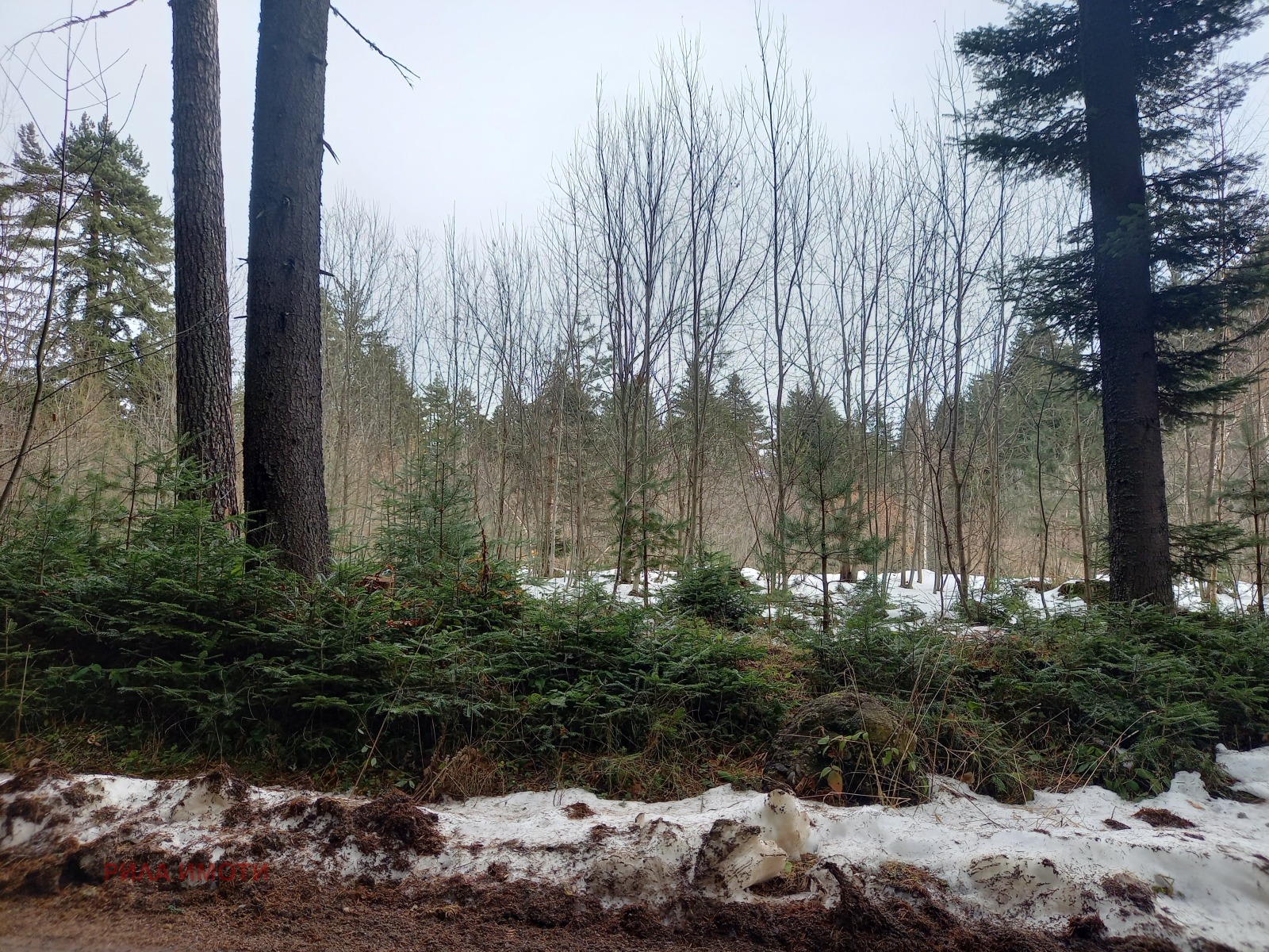 ������� ������ | Imot.bg � ����������� 5