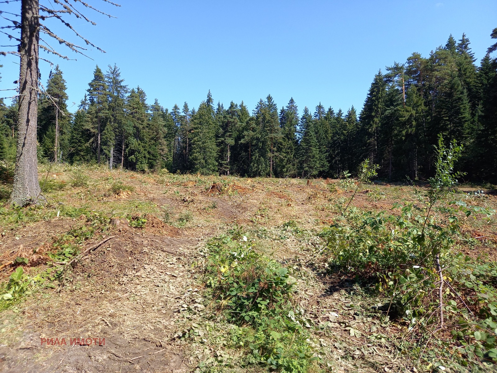 ������� ������ | Imot.bg � ����������� 4