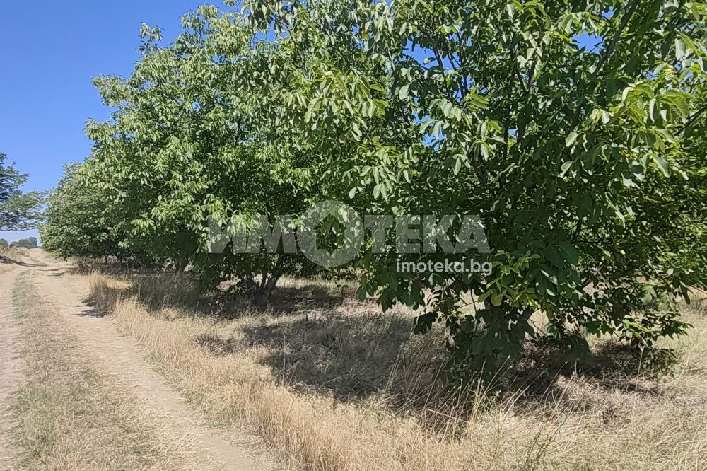 ������� ���������� ���� | Imot.bg � ����������� 1