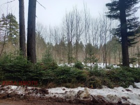 ������� ������ | Imot.bg � ����� ������ 5