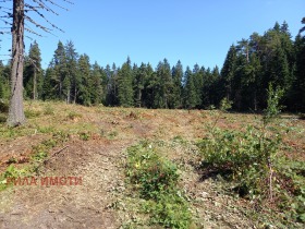 ������� ������ | Imot.bg � ����� ������ 4