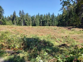 ������� ������ | Imot.bg � ����� ������ 2