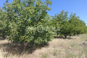 ������� ���������� ���� | Imot.bg � ����� ������ 4