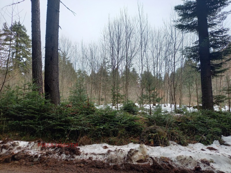 Продава ПАРЦЕЛ, к.к. Боровец, област София област, снимка 4 - Парцели - 53072068