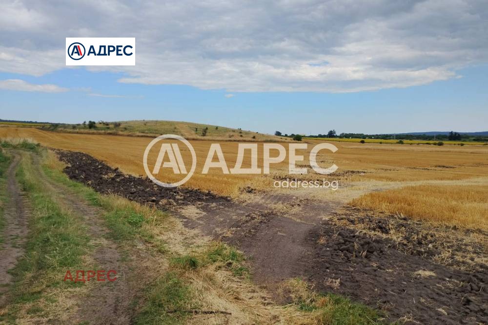 Продава ЗЕМЕДЕЛСКА ЗЕМЯ, гр. Игнатиево, област Варна, снимка 4 - Земеделска земя - 55273752