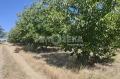 Продава ЗЕМЕДЕЛСКА ЗЕМЯ, с. Цалапица, област Пловдив, снимка 1