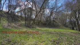 ������ ������� ����