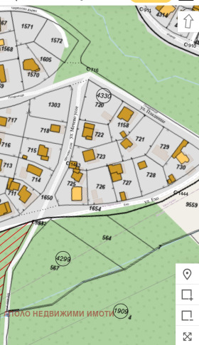 ����� ������� ������,���� �����, ����� ����