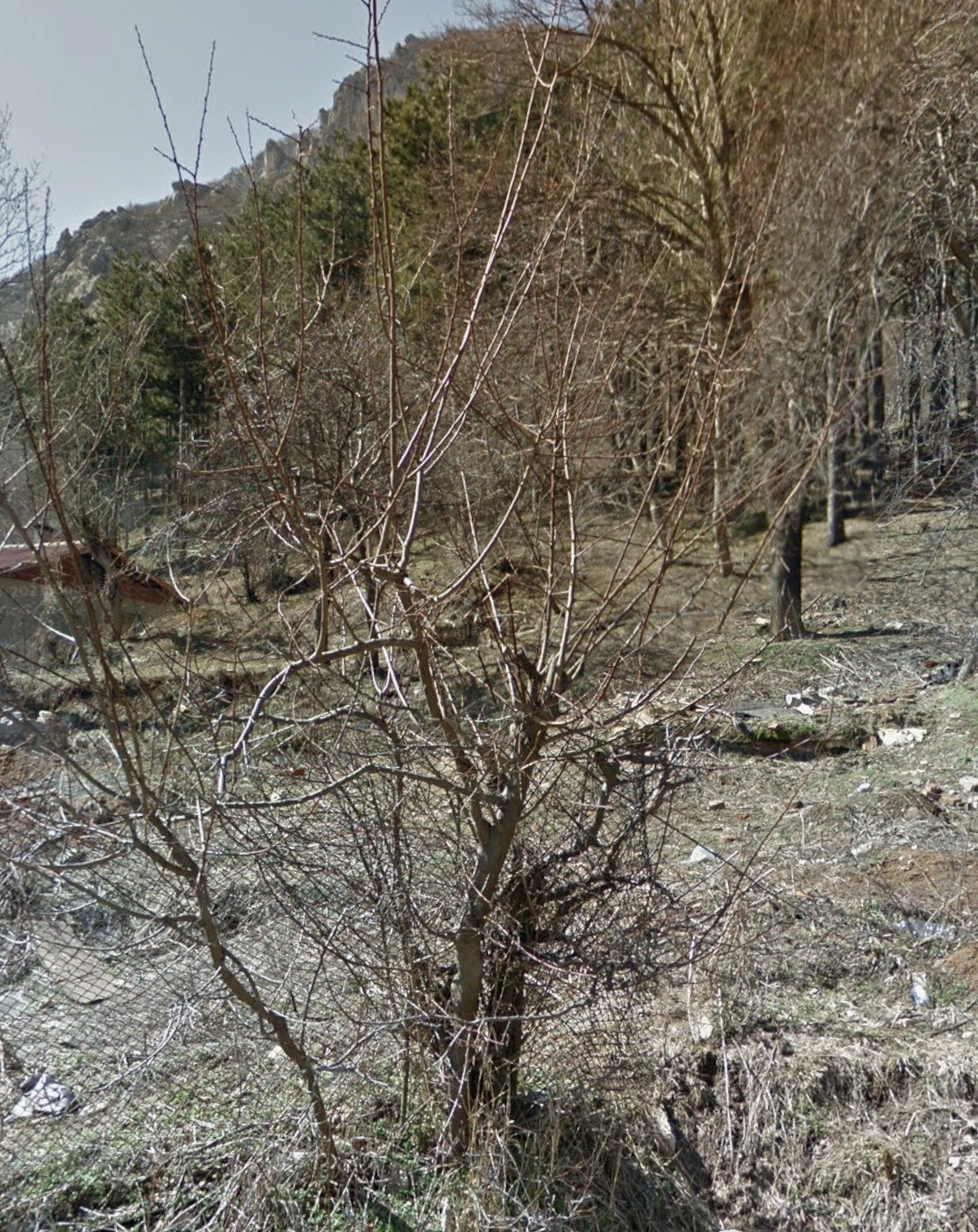 Продава ПАРЦЕЛ, гр. Враца, Медковец