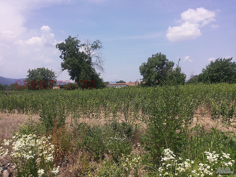 Продава ЗЕМЕДЕЛСКА ЗЕМЯ, с. Ветрен дол, област Пазарджик