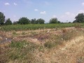 Продава ЗЕМЕДЕЛСКА ЗЕМЯ, с. Ветрен дол, област Пазарджик, снимка 3