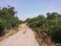 Продава ЗЕМЕДЕЛСКА ЗЕМЯ, с. Ветрен дол, област Пазарджик, снимка 4