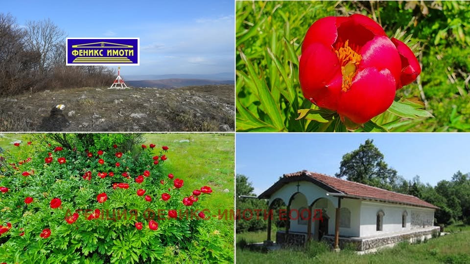 ������� ����. ��������� | Imot.bg � ����������� 1