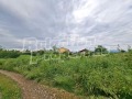 Продава ПАРЦЕЛ, с. Селци, област Пловдив, снимка 3