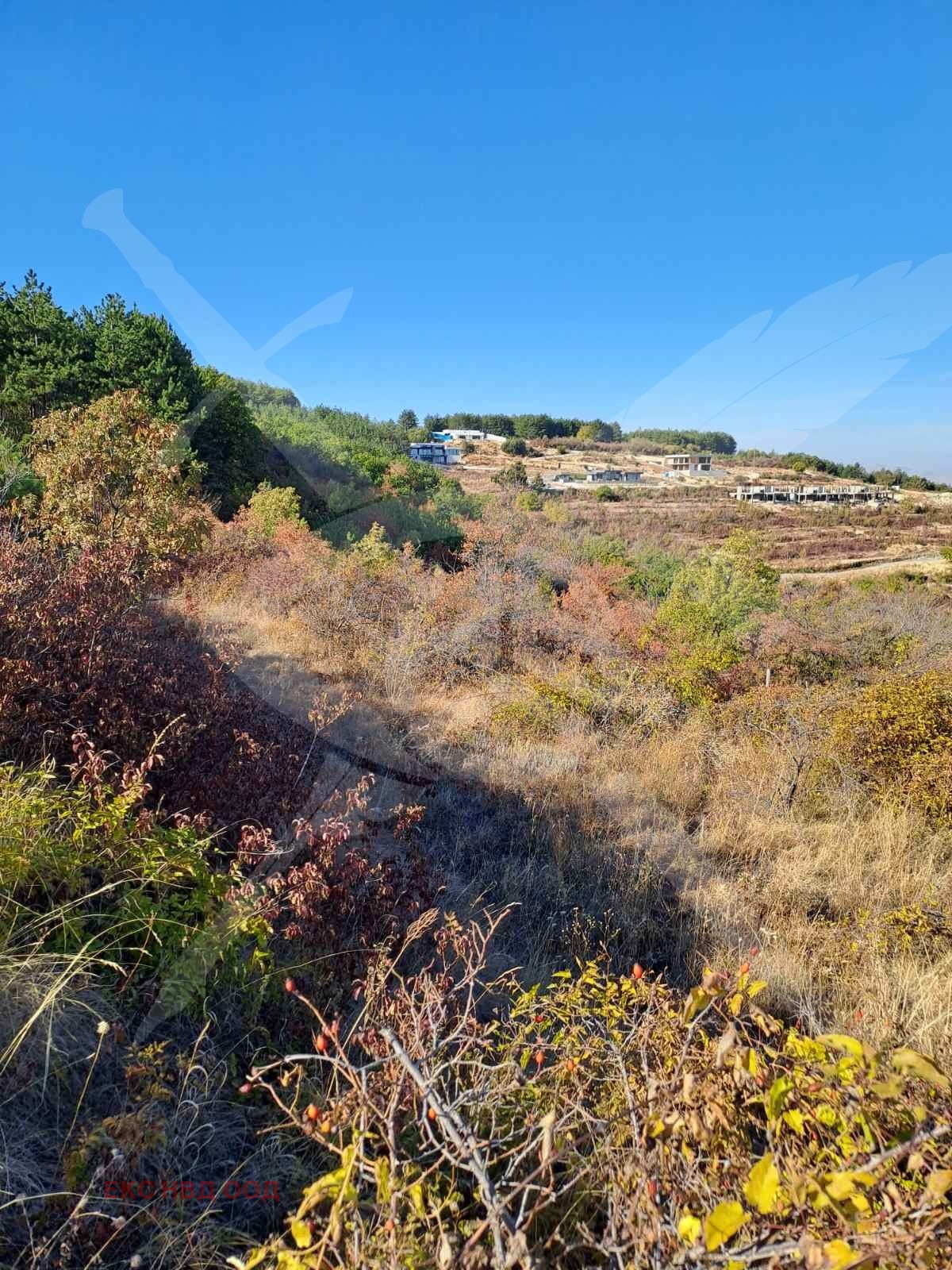 Продава ЗЕМЕДЕЛСКА ЗЕМЯ | Imot.bg — изображение 2