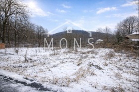 ����� ������� ������,���� �������, �������>