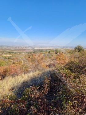 Land Brestovitsa, region Plovdiv 6