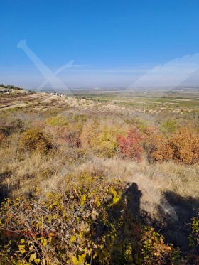 Land Brestovitsa, region Plovdiv 7