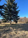 Продава КЪЩА, с. Мещица, област Перник, снимка 2
