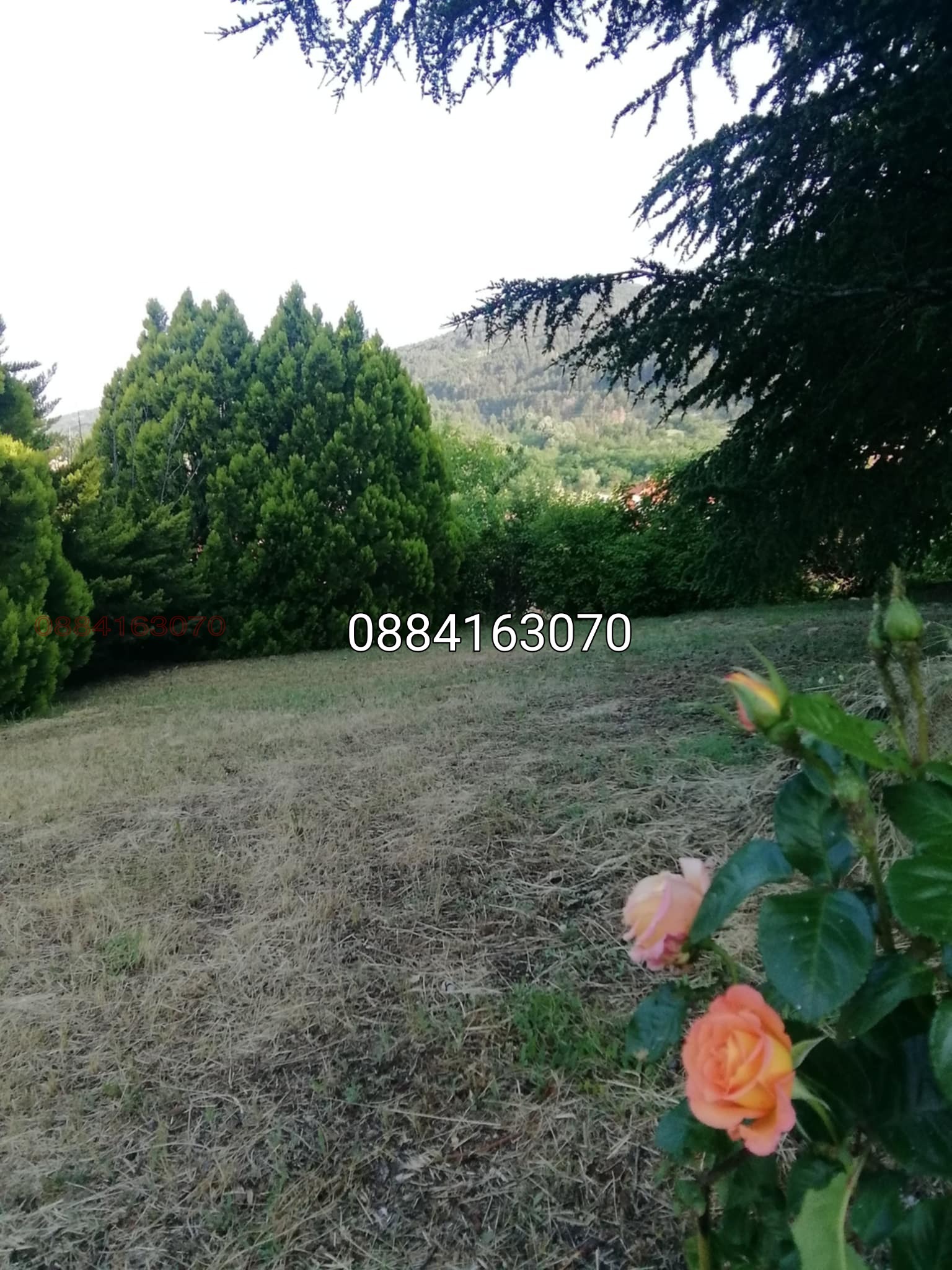 ������� ���� | Imot.bg � ����������� 17