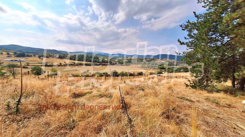 Na sprzedaż  Działka region Płowdiw , Domljan , 5026 mkw | 59074230 - obraz [10]