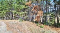 Продава ПАРЦЕЛ, с. Домлян, област Пловдив, снимка 5