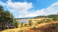 Продава ПАРЦЕЛ, област Пловдив, с. Домлян • 350000 € • 62728535 — Holmes.bg