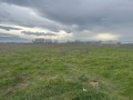 Продава ПАРЦЕЛ, област Пазарджик, с. Сарая • 506910 € / 991429.79 лв. • 20636168 1
