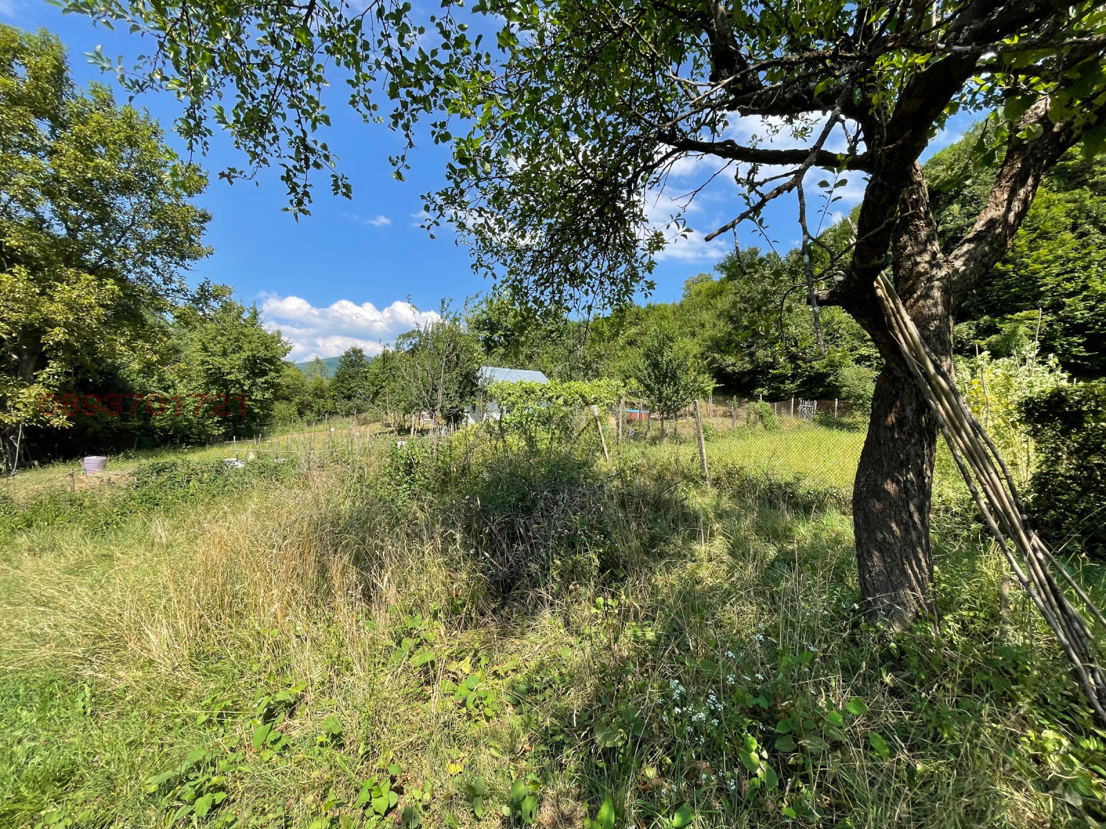 ������� ������ | Imot.bg � ����������� 5