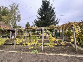 ������� ������ | Imot.bg � ����� ������ 2