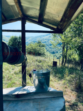 ����� ������� ������,�. ������, ������ �����