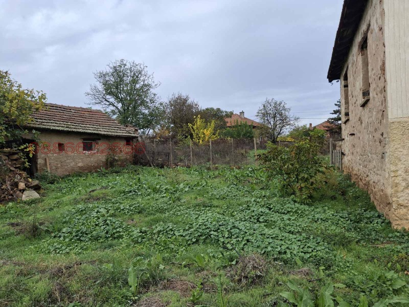 Продава КЪЩА, с. Остър камък, област Хасково, снимка 4 - Къщи - 52678341