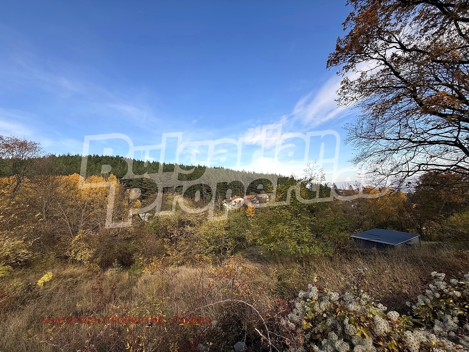 ������� ������ | Imot.bg � ����������� 11