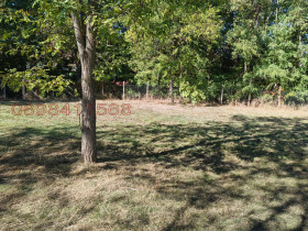 ������� ���� | Imot.bg � ����� ������ 11