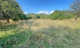 ������� ������ | Imot.bg � ����� ������ 17