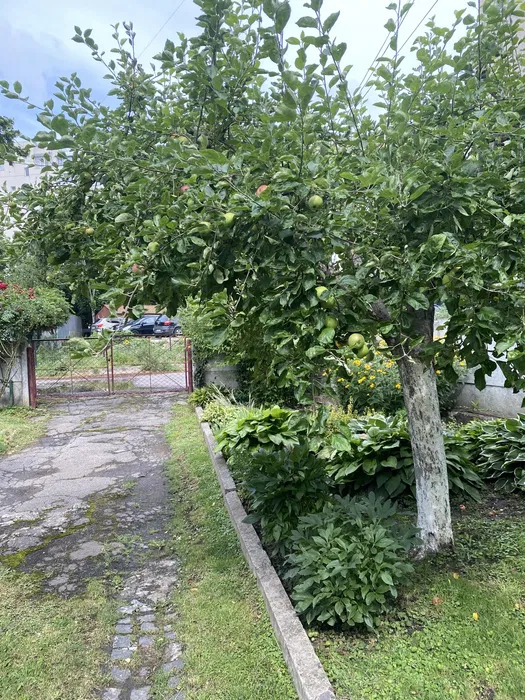 In vendita  Casa regione Sofia , Doganovo , 90 mq | 27163632 - Immagine [4]