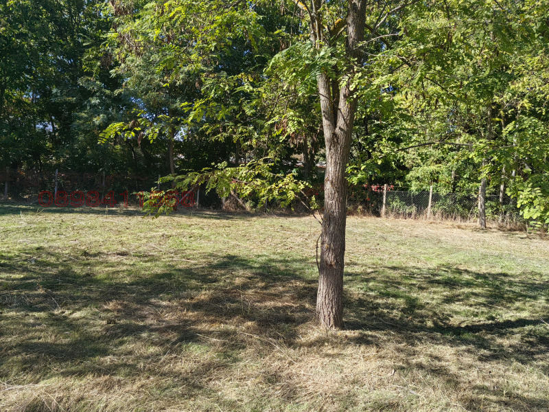 Продава КЪЩА, с. Православ, област Стара Загора, снимка 9 - Къщи - 52784967