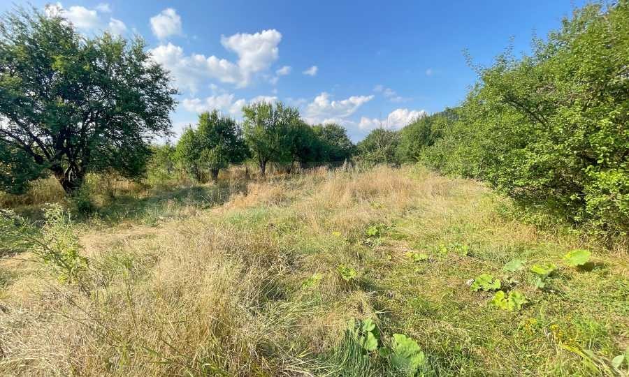 Продава ПАРЦЕЛ, с. Продановци, област София област, снимка 10 - Парцели - 55929751