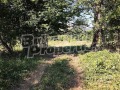 Продава  Земеделска земя област Ловеч , с. Шипково , 50 дка | 96123061 - изображение [4]
