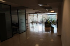 ������� ����� | Imot.bg � ����� ������ 8