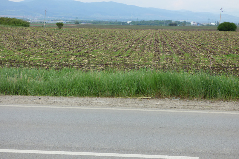 Na prodej  Spiknutí oblast Veliko Tarnovo , Debelec , 21000 m2 | 36867502