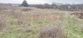 Продава ПАРЦЕЛ, гр. Варна, м-т Добрева чешма, снимка 1