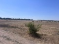 Продава ПАРЦЕЛ, с. Доброглед, област Варна, снимка 2