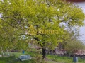 Продава КЪЩА, с. Аврен, област Варна, снимка 5 - Къщи - 45336517
