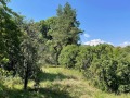 Продава  Вила област Перник , с. Кленовик , 108 кв.м | 22810803 - изображение [7]